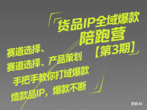货品IP全域爆款陪跑营【第3期】赛道选择、产品策划到全域爆款，手把手教你打造货品IP，爆款不断-来缘阁