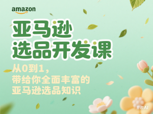 亚马逊选品开发课，从0到1，带给你全面丰富的亚马逊选品知识-来缘阁