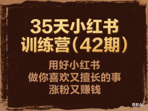 35天小红书训练营(42期)，用好小红书，做你喜欢又擅长的事，涨粉又赚钱-来缘阁