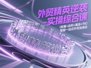 外贸精英逆袭-实操综合课，(拓客+谈判+展会+TK)智能一站式外贸加油站-来缘阁