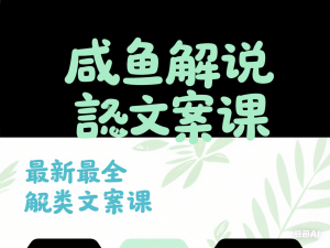 咸鱼解说文案课，最新最全解说类文案课-来缘阁