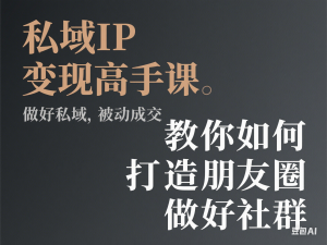 私域IP变现高手课，做好私域，被动成交，教你如何打造好朋友圈做好社群-来缘阁
