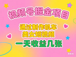 视频号掘金项目，通过制作机车美女短视频 一天收益几张-来缘阁