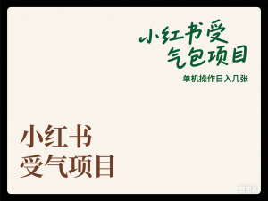小红书受气包项目，单机操作日入几张-来缘阁