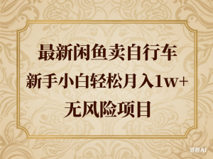 最新闲鱼卖自行车，新手小白轻松月入1w+，无风险项目-来缘阁
