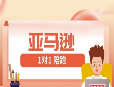 亚马逊1对1陪跑课(FBA/FBM精铺)跨境亚马逊教程-来缘阁