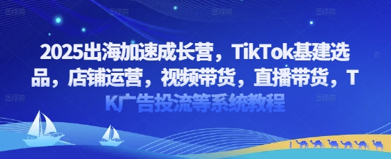 2025出海加速成长营，TikTok基建选品，店铺运营，视频带货，直播带货，TK广告投流等系统教程-来缘阁