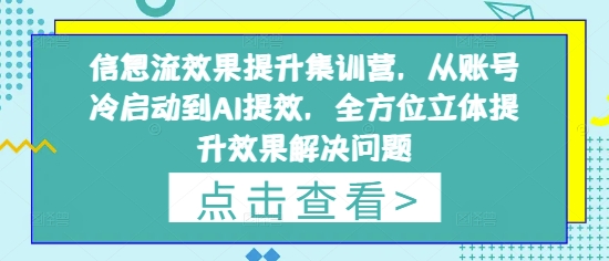 信息流效果提升集训营，从账号冷启动到AI提效，全方位立体提升效果解决问题-来缘阁