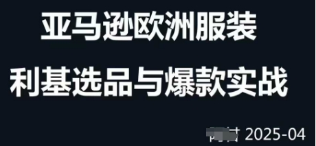 跨境电商选品案例24-25年，聚焦跨境电商选品策略与运营优化，助力卖家挖掘蓝海市场-来缘阁
