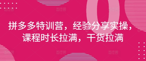 拼多多特训营，经验分享实操，课程时长拉满，干货拉满(更新25年4月)-来缘阁