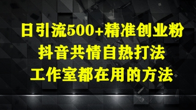 日引流500+精准创业粉，抖音共情自热打法，工作室都在用的方法-来缘阁