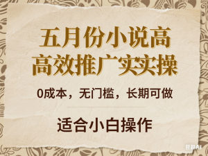 五月份小说高效推广实操，0成本，无门槛，长期可做，适合小白操作-来缘阁