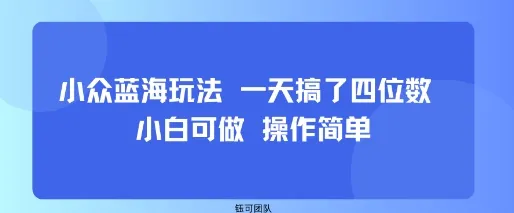 小众蓝海玩法 一天搞了四位数 小白可做 操作简单-来缘阁