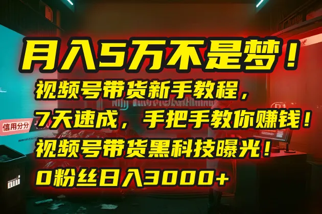 月入5万不是梦！视频号带货新手教程，7天速成，手把手教你赚钱！视频号…-来缘阁