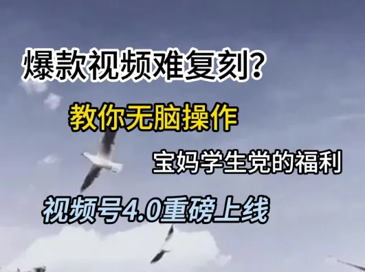 视频号4.0重磅上线,爆款视频难复刻?教你无脑操作宝妈学生党的福利【揭秘】-来缘阁