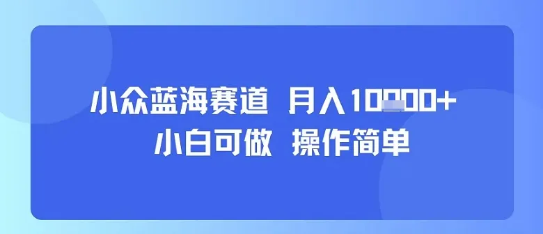 小众蓝海赛道，小白可做，操作简单，每天30分钟，月入1W+-来缘阁