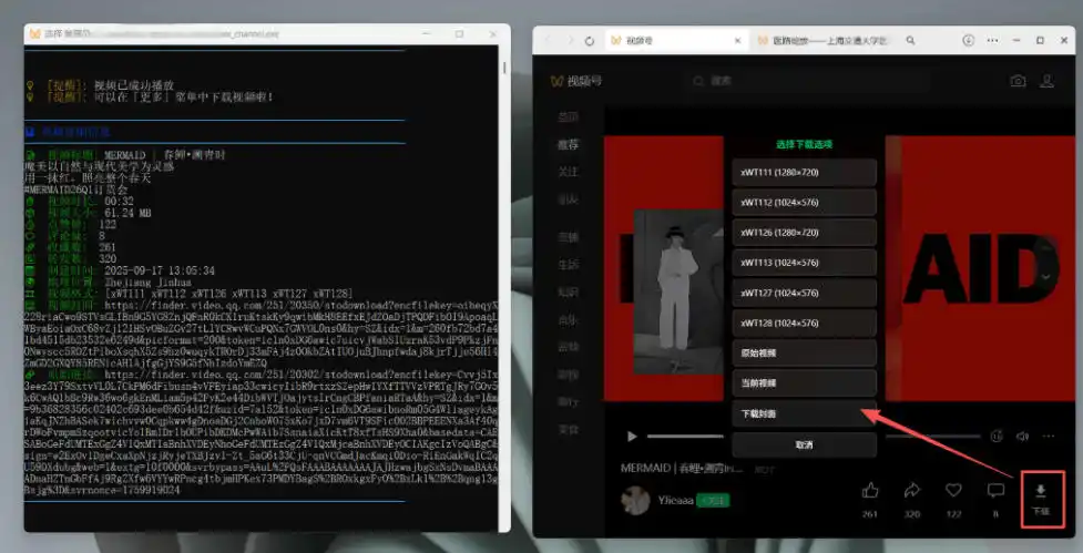 Github热门工具，视频号下载神器又来了！一键注入下载按钮，轻松下载，使用便捷wx_channel-来缘阁