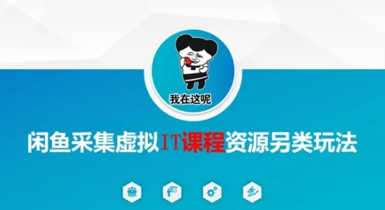 闲鱼采集虚拟IT课程资源另类玩法,干货满满-来缘阁
