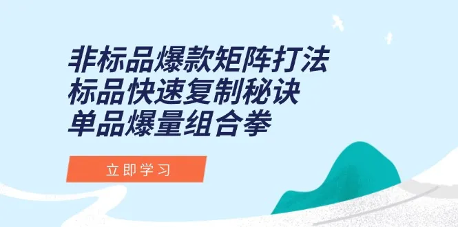非标品爆款矩阵打法，标品快速复制秘诀，单品爆量组合拳-来缘阁