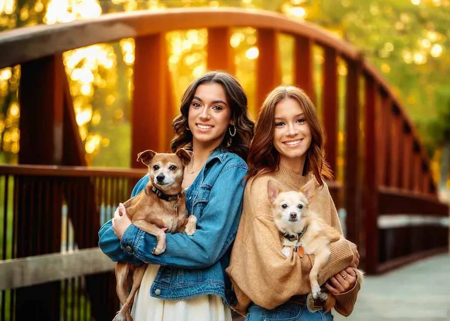 大师级GTG出品-老友记系列AI自适应预设The Friends Preset Collection-来缘阁