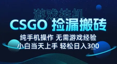 8月最新游戏搬砖，CSGO纯挂G，不需要玩游戏，实现真挂G，月入1W+【揭秘】-来缘阁