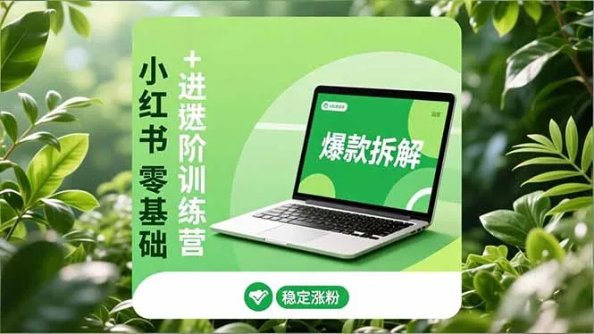 小红书零基础+高阶训练营：安全养号、爆款拆解、长效运营，实现稳定涨粉与变现-来缘阁