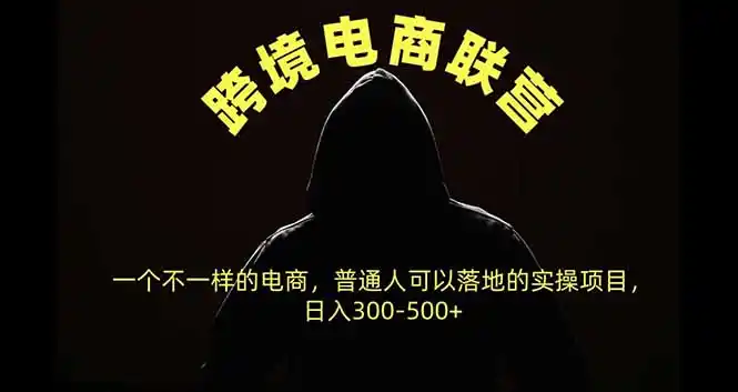 跨境电商联营，一个不一样的电商，普通人可操作日入300-500+-来缘阁