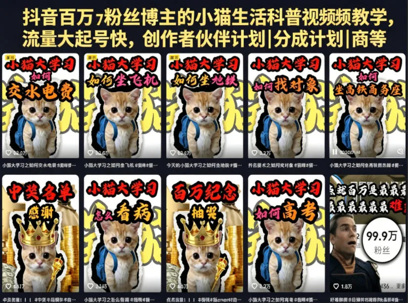抖音百万粉丝博主的小猫生活科普视频教学，流量大起号快，创作者伙伴计划|分成计划|商单|收徒等-来缘阁