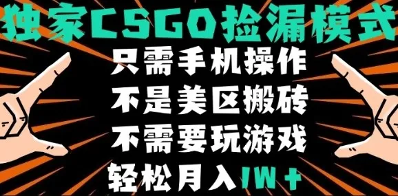 CSGO自动捡漏项目，最新独家玩法，不是美区搬砖，不需要了解和玩游戏，新手小白轻松月入1W+【揭秘】-来缘阁