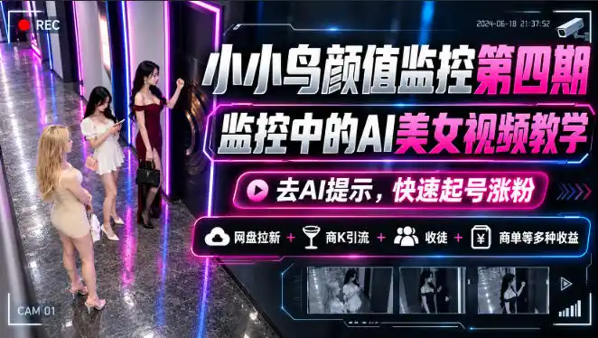 小小鸟颜值监控第四期，监控中的AI美女视频教学，去AI提示，快速起号涨粉，网盘拉新+商K引流+收徒+商单等多种收益-来缘阁