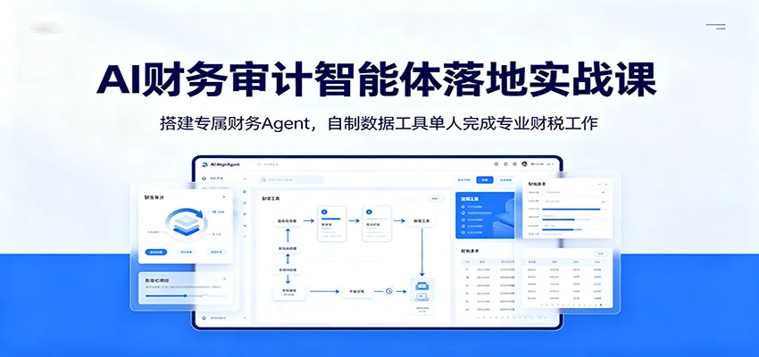 AI财务审计智能体落地实战课：搭建专属财务Agent，自制数据工具单人完成专业财税工作-来缘阁