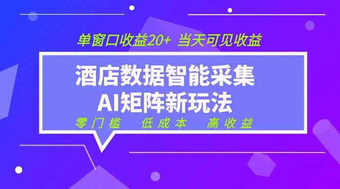 2026酒店数据采集ai智能矩阵新风口 低成本 高收益 当天见收益 单窗口20+-来缘阁