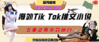 海外tiktok小说推文暴力项目,高停留率,高转化率,上手后一天搞顿饭钱不是问题-来缘阁