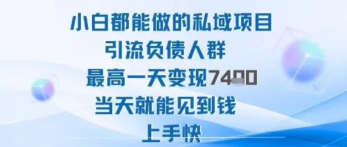 2025年小白都能做的私域项目引流负债人群最高一天变现1k+高变现难度低当天就能见到钱上手快-来缘阁