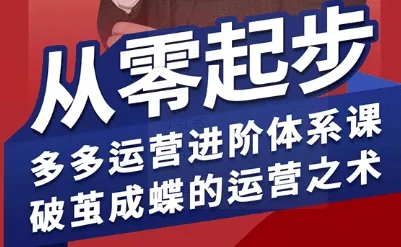 拼多多运营进阶系统课，从零起步，多多运营进阶体系课，破茧成蝶的运营之术(更新9月)-来缘阁