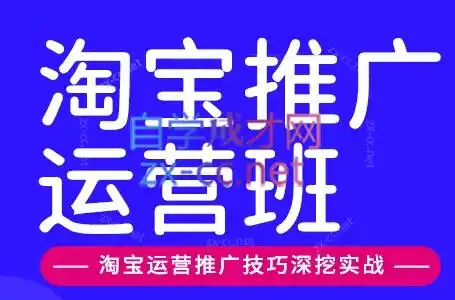 美迪电商·淘宝高级运营班+推广运营班(更新10月)-来缘阁