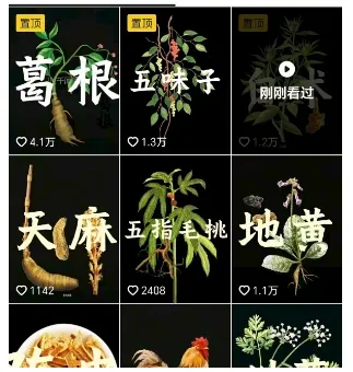 抖音中草药赛道，用AI做中草药故事视频，45条作品涨粉13W，橱窗带货猛猛出单-来缘阁