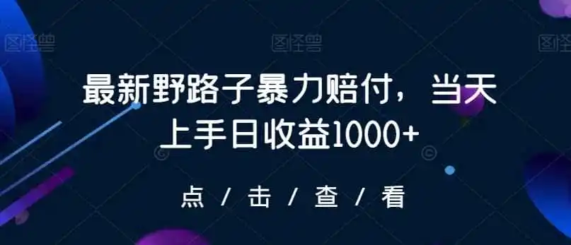 最新野路子暴力赔付，当天上手日收益1000+【仅揭秘】-来缘阁