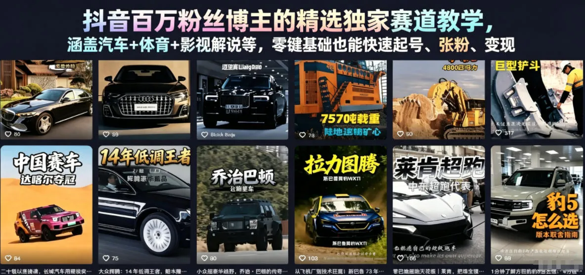 抖音百万粉丝博主的精选独家赛道教学,涵盖汽车+体育+影视解说等,零基础也能快速起号、涨粉、变现-来缘阁