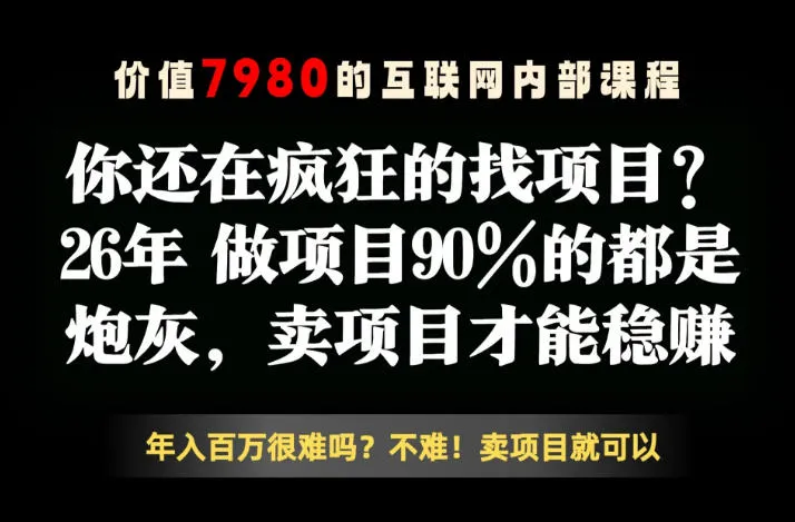 26年请不要疯狂的找项目了，卖项目远比你想象的暴利，你也可以月入10W+【揭秘】-来缘阁
