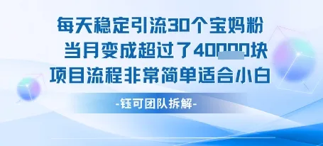 每天稳定引流30个人 当月变成超过了4个W项目流程非常简单适合小白-来缘阁