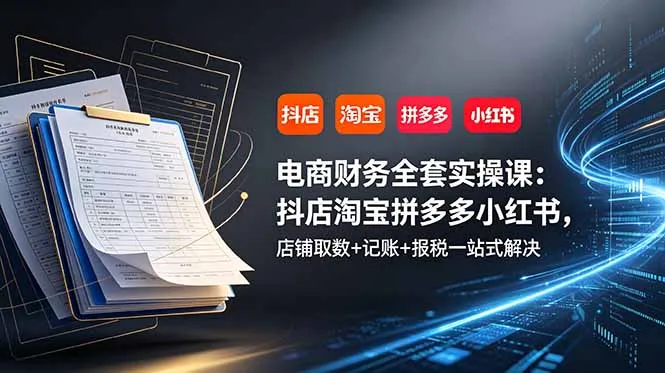 电商财务全套实操课：抖店淘宝拼多多小红书，店铺取数+记账+报税一站式解决-来缘阁