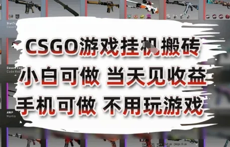 CSGO游戏挂G搬砖，小白纯手机即可操作，不用电脑打游戏，日入3张+，副业网创项目【揭秘】-来缘阁