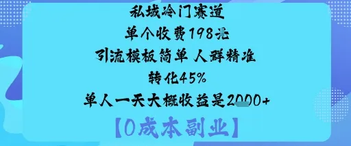 私域冷门赛道:单个收费198米引流模板简单人群精准转化45%单人一天大概收益是1k+-来缘阁