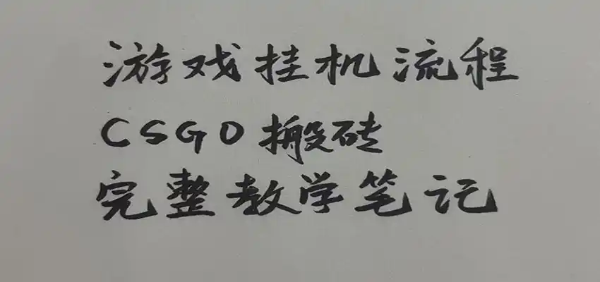 游戏挂机全流程笔记分享,CSGO游戏搬砖,小白看了当天学会见收益-来缘阁
