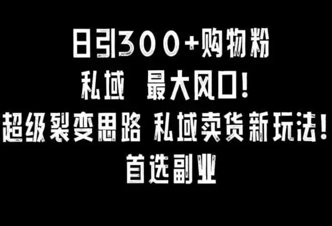 日引300+购物粉,超级裂变思路,私域卖货新玩法,小红书首选副业【揭秘】-来缘阁