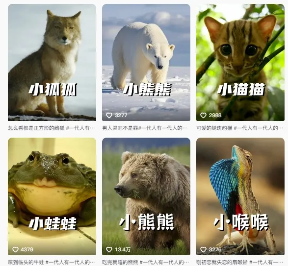 最新搞笑动物百科详细解说课程，蓝海赛道，流量非常大，轻松签独家进精选-来缘阁