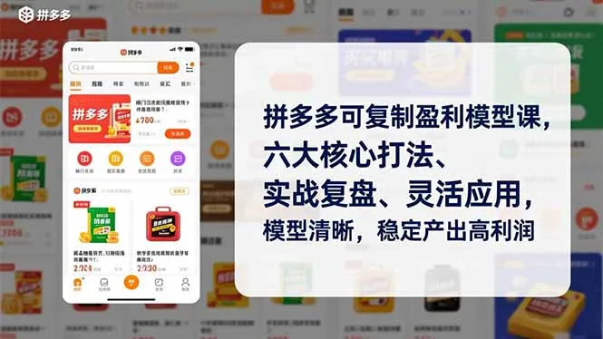 拼多多可复制盈利模型课，六大核心打法、实战复盘、灵活应用，模型清晰，稳定产出高利润-来缘阁