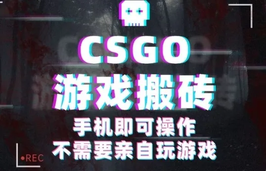 CSGO游戏挂G捡漏，单日扫货5张+，年底小高峰上车可吃肉，手机即可操作，兼职副业创业网创【揭秘】-来缘阁