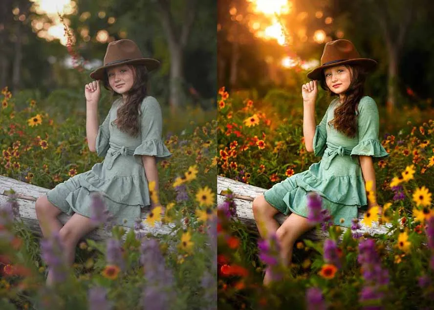 大师级GTG出品-老友记系列AI自适应预设The Friends Preset Collection-来缘阁